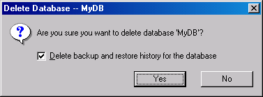  Окно сообщения Delete Database