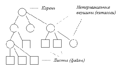Иерархическая древовидная структура файловой системы