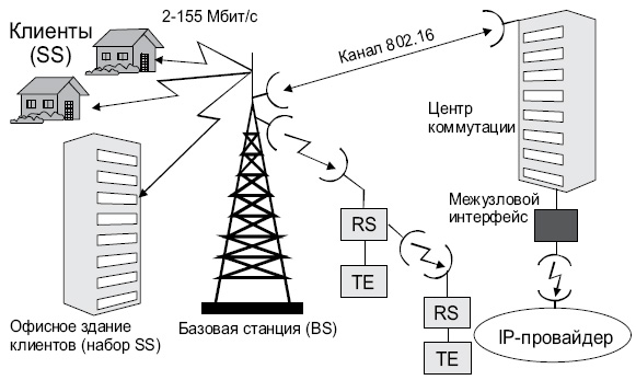 Место стандарта IEEE 802.16 в системе радиокоммуникаций