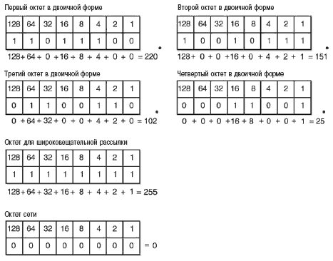 32 бита определяют IP-адреса, представленные в десятичном формате с разделительными точками